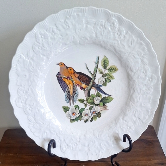 Vintage Carolina Turtle Dove Plate by Audubon Society – Alfred Meakin England - Picture 1 of 6